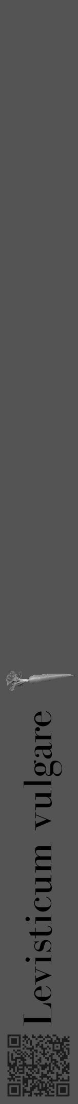 Étiquette de : Levisticum vulgare - format a - style noire36bod avec qrcode et comestibilité simplifiée - position verticale