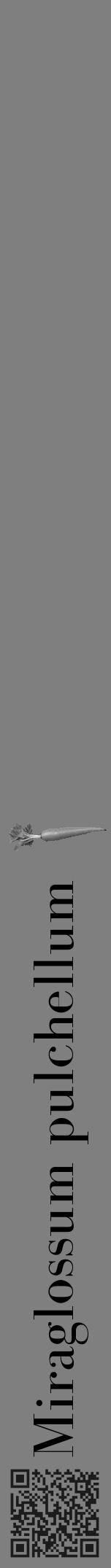 Étiquette de : Miraglossum pulchellum - format a - style noire31bod avec qrcode et comestibilité simplifiée - position verticale