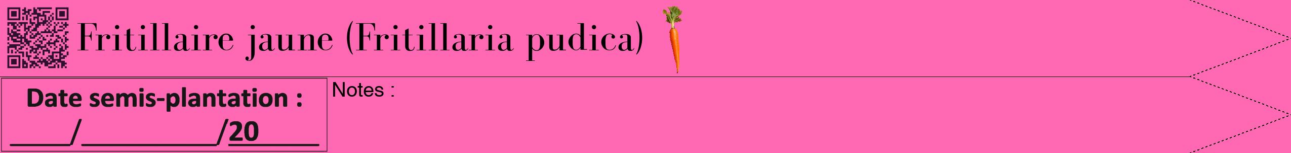 Étiquette de : Fritillaria pudica - format b - style noire42bod avec qrcode et comestibilité simplifiée