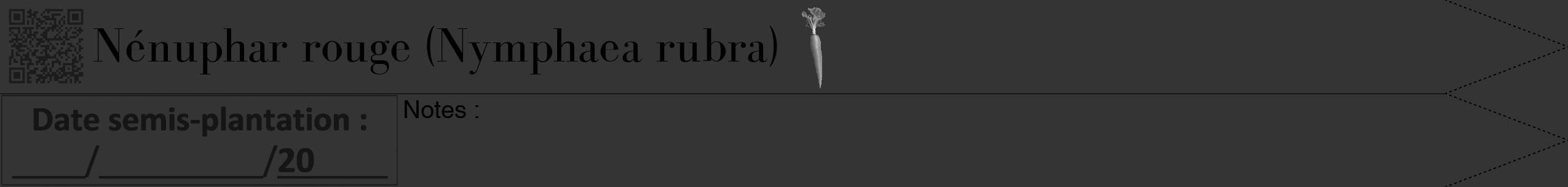 Étiquette de : Nymphaea rubra - format b - style noire46bod avec qrcode et comestibilité simplifiée