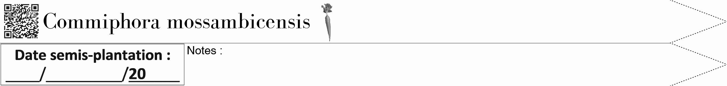 Étiquette de : Commiphora mossambicensis - format b - style noire19simplebod avec qrcode et comestibilité simplifiée