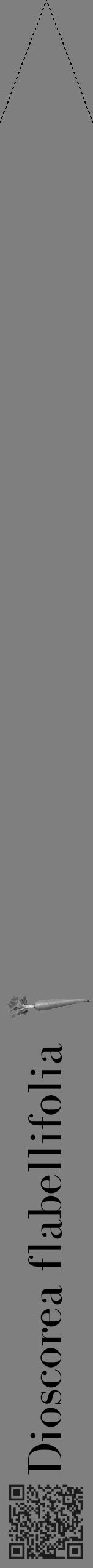 Étiquette de : Dioscorea flabellifolia - format b - style noire57bod avec qrcode et comestibilité simplifiée - position verticale