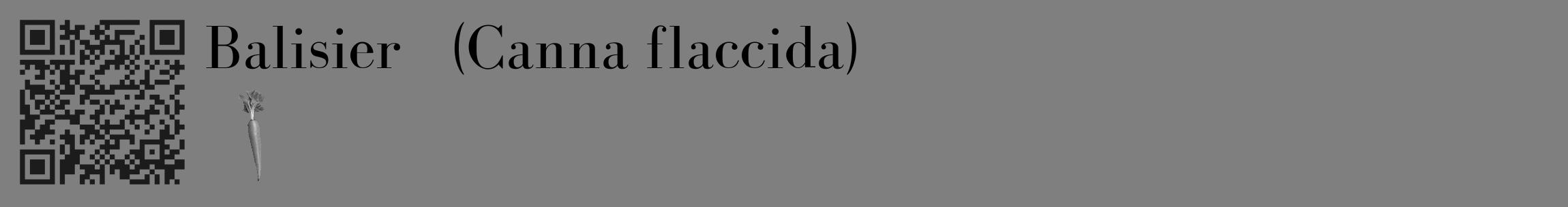 Étiquette de : Canna flaccida - format c - style noire57_basique_basiquebod avec qrcode et comestibilité simplifiée