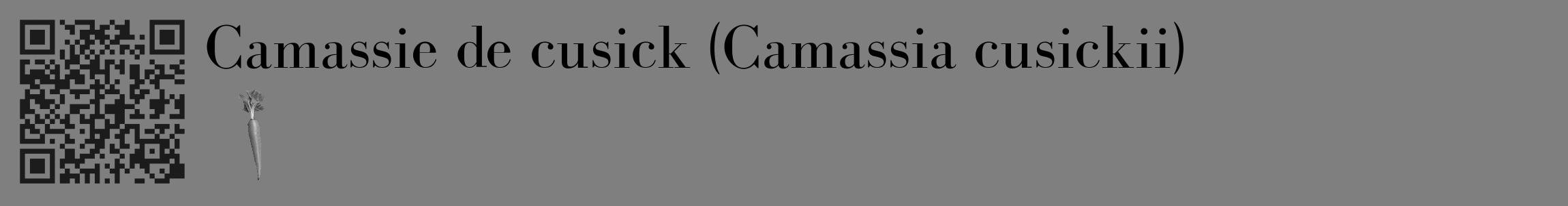 Étiquette de : Camassia cusickii - format c - style noire31_basique_basiquebod avec qrcode et comestibilité simplifiée