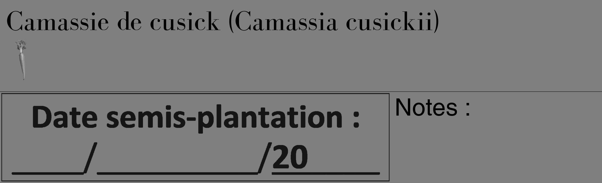 Étiquette de : Camassia cusickii - format c - style noire31_basique_basiquebod avec comestibilité simplifiée