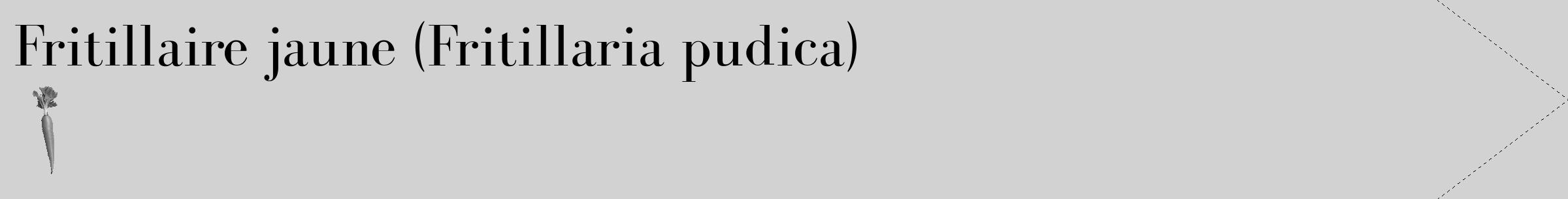 Étiquette de : Fritillaria pudica - format c - style noire14_simple_simplebod avec comestibilité simplifiée