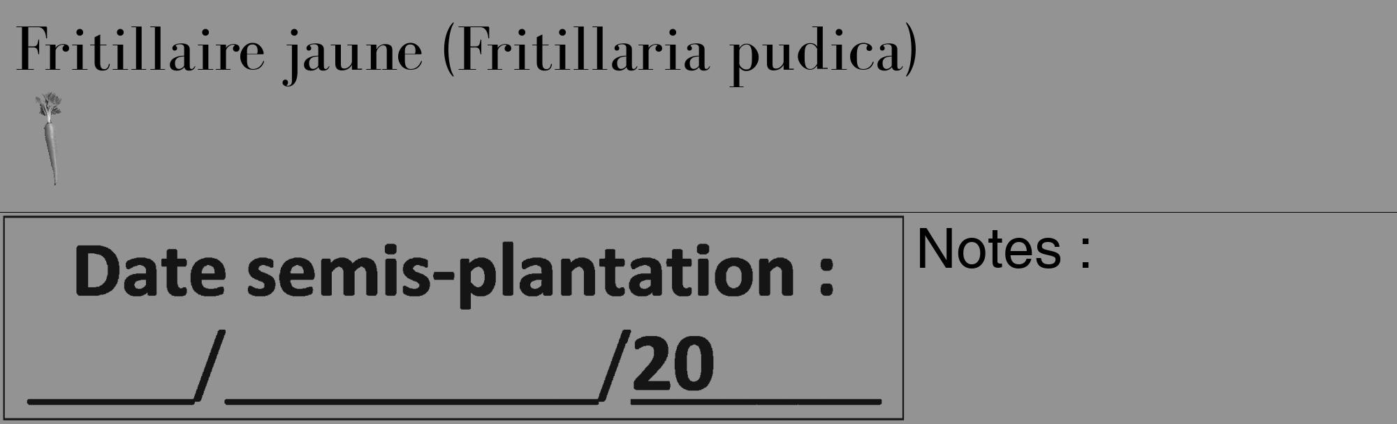 Étiquette de : Fritillaria pudica - format c - style noire44_basique_basiquebod avec comestibilité simplifiée