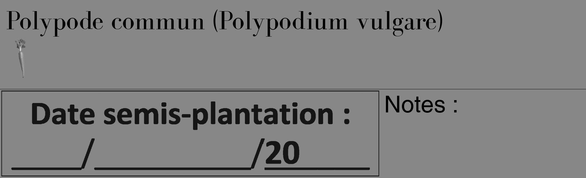 Étiquette de : Polypodium vulgare - format c - style noire12_basique_basiquebod avec comestibilité simplifiée