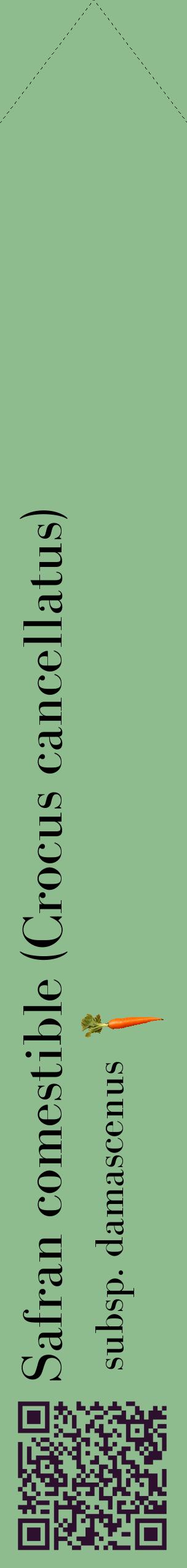 Étiquette de : Crocus cancellatus subsp. damascenus - format c - style noire13_simplebod avec qrcode et comestibilité simplifiée