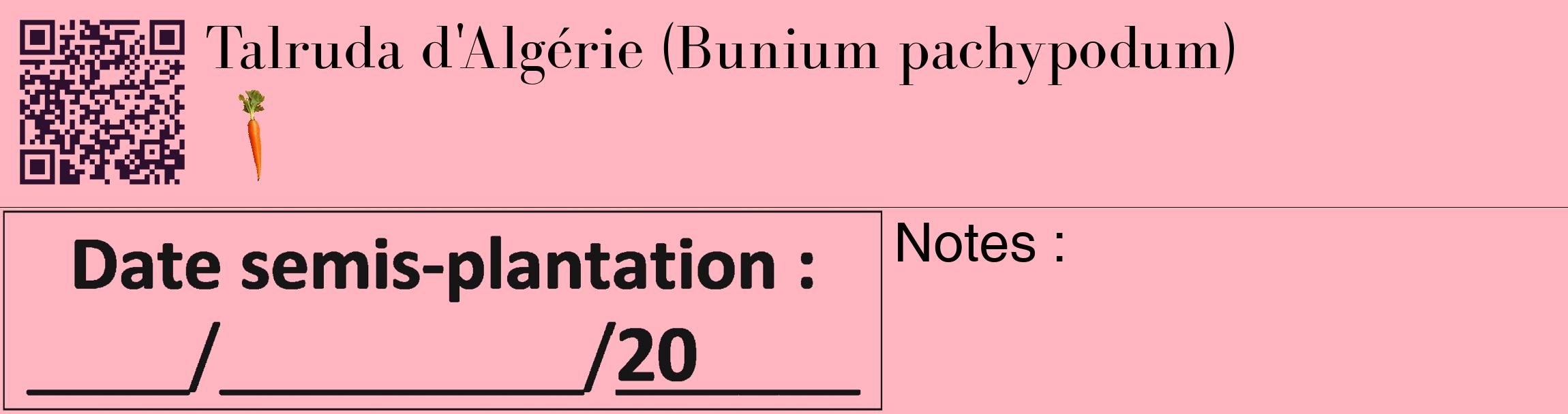 Étiquette de : Bunium pachypodum - format c - style noire41_basique_basiquebod avec qrcode et comestibilité simplifiée