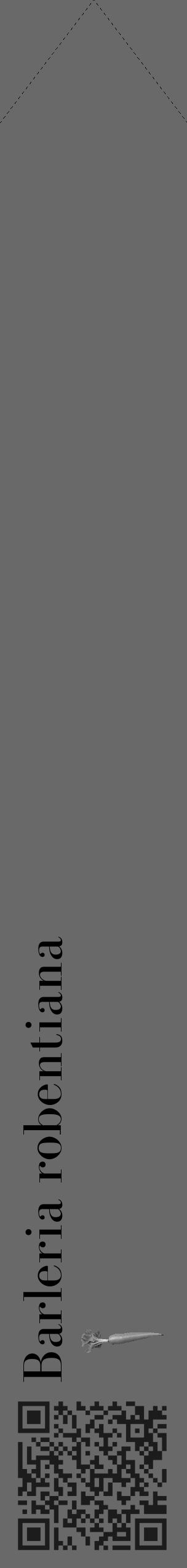 Étiquette de : Barleria robentiana - format c - style noire11_simple_simplebod avec qrcode et comestibilité simplifiée - position verticale