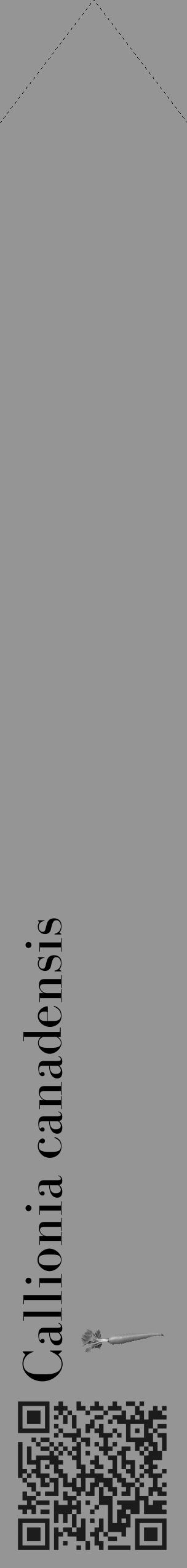 Étiquette de : Callionia canadensis - format c - style noire16_simple_simplebod avec qrcode et comestibilité simplifiée - position verticale