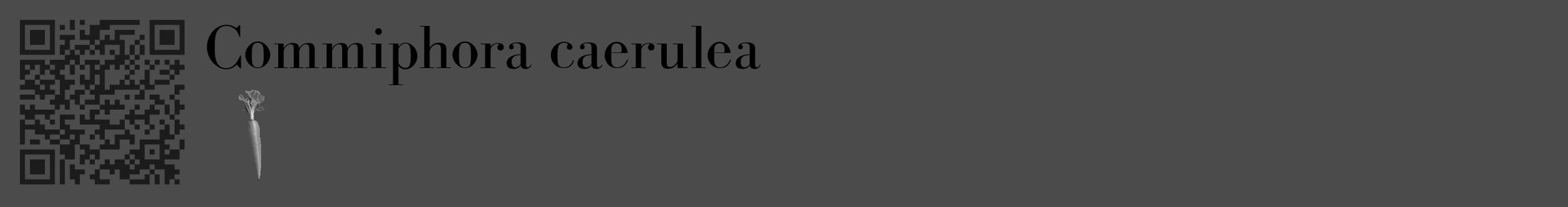Étiquette de : Commiphora caerulea - format c - style noire9_basique_basiquebod avec qrcode et comestibilité simplifiée