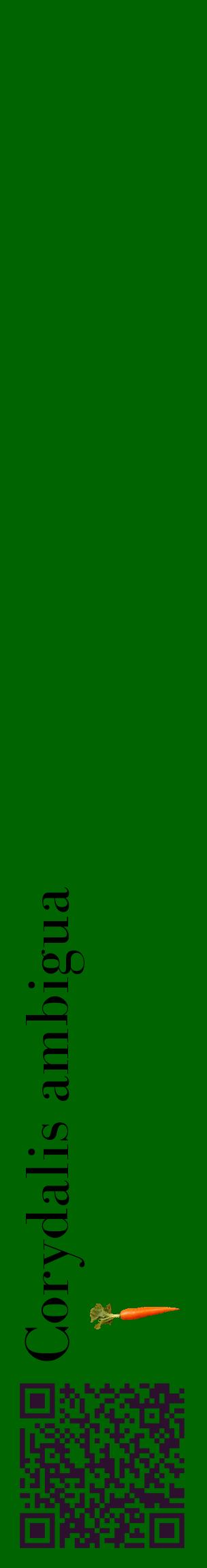 Étiquette de : Corydalis ambigua - format c - style noire8_basiquebod avec qrcode et comestibilité simplifiée