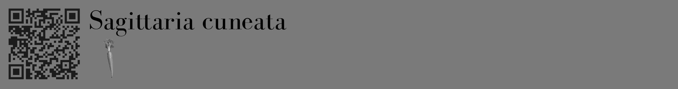 Étiquette de : Sagittaria cuneata - format c - style noire3_basique_basiquebod avec qrcode et comestibilité simplifiée