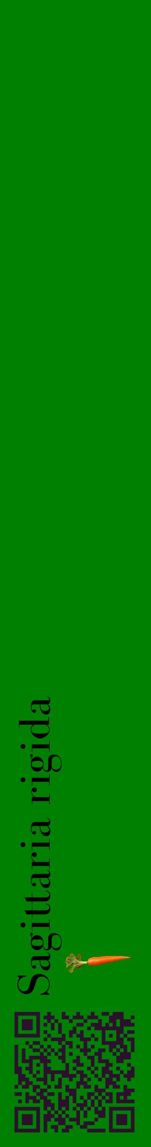 Étiquette de : Sagittaria rigida - format c - style noire9_basiquebod avec qrcode et comestibilité simplifiée