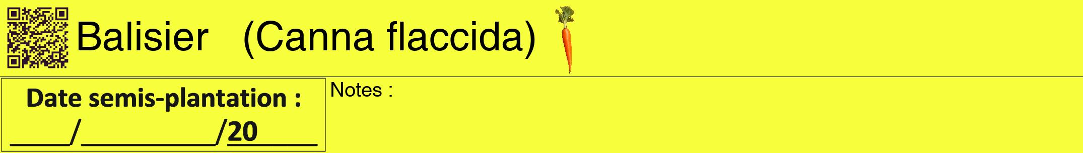 Étiquette de : Canna flaccida - format a - style noire18hel avec qrcode et comestibilité simplifiée