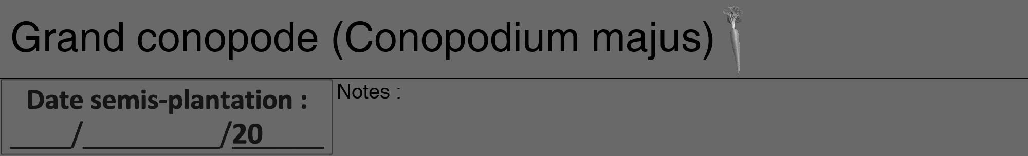 Étiquette de : Conopodium majus - format a - style noire11hel avec comestibilité simplifiée