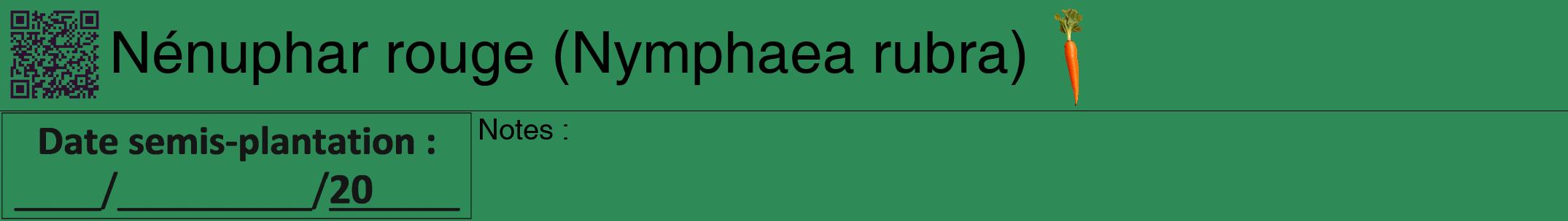 Étiquette de : Nymphaea rubra - format a - style noire11hel avec qrcode et comestibilité simplifiée