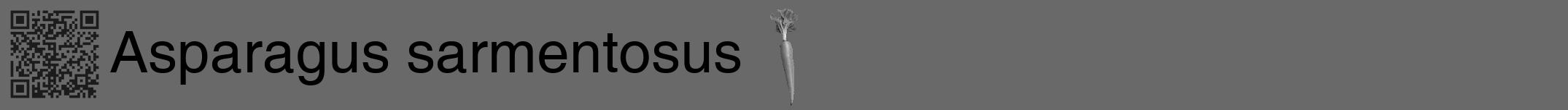 Étiquette de : Asparagus sarmentosus - format a - style noire51hel avec qrcode et comestibilité simplifiée