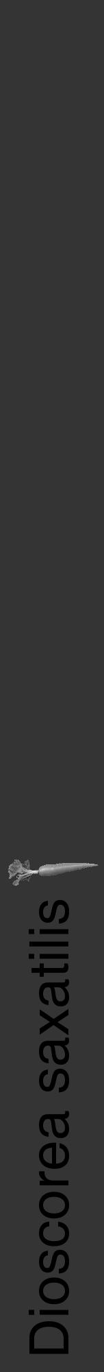 Étiquette de : Dioscorea saxatilis - format a - style noire46hel avec comestibilité simplifiée - position verticale