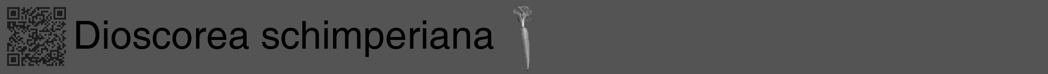 Étiquette de : Dioscorea schimperiana - format a - style noire36hel avec qrcode et comestibilité simplifiée