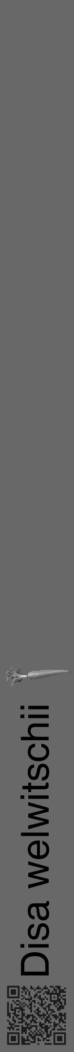 Étiquette de : Disa welwitschii - format a - style noire43hel avec qrcode et comestibilité simplifiée - position verticale