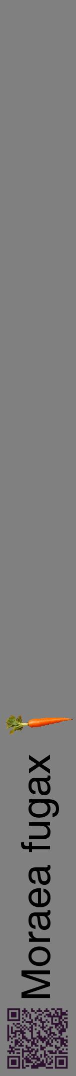 Étiquette de : Moraea fugax - format a - style noire57hel avec qrcode et comestibilité simplifiée