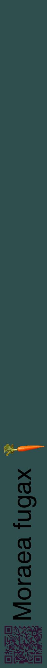 Étiquette de : Moraea fugax - format a - style noire58hel avec qrcode et comestibilité simplifiée