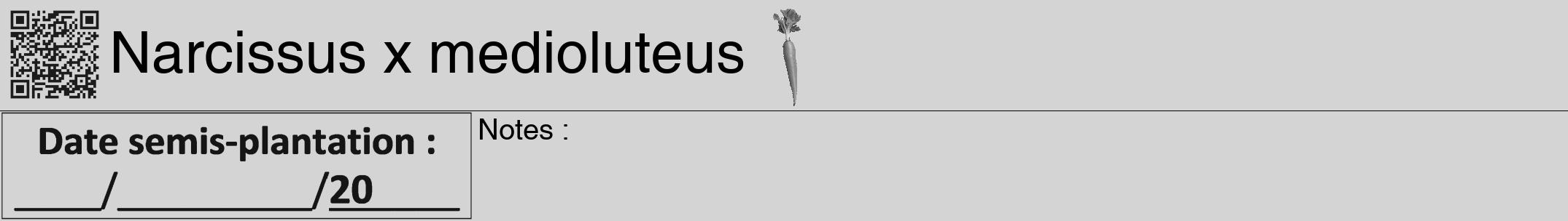 Étiquette de : Narcissus x medioluteus - format a - style noire40hel avec qrcode et comestibilité simplifiée