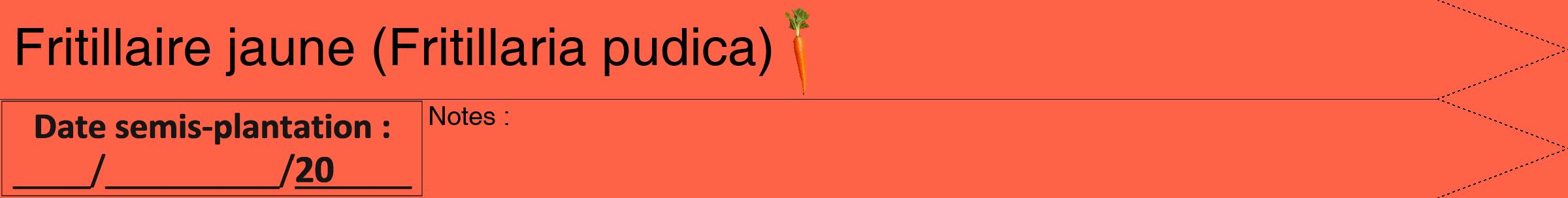Étiquette de : Fritillaria pudica - format b - style noire25hel avec comestibilité simplifiée