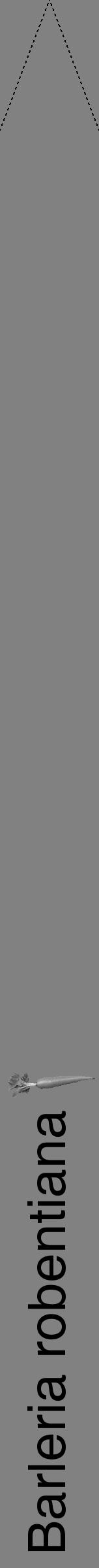 Étiquette de : Barleria robentiana - format b - style noire50hel avec comestibilité simplifiée - position verticale