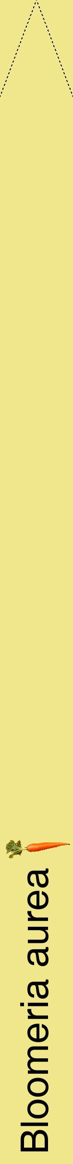 Étiquette de : Bloomeria aurea - format b - style noire20hel avec comestibilité simplifiée