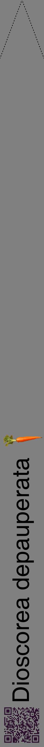 Étiquette de : Dioscorea depauperata - format b - style noire57hel avec qrcode et comestibilité simplifiée