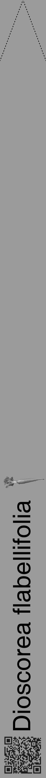 Étiquette de : Dioscorea flabellifolia - format b - style noire52hel avec qrcode et comestibilité simplifiée - position verticale