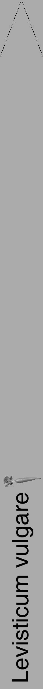 Étiquette de : Levisticum vulgare - format b - style noire37hel avec comestibilité simplifiée - position verticale