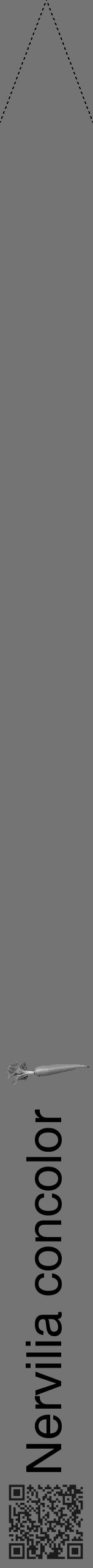 Étiquette de : Nervilia concolor - format b - style noire26hel avec qrcode et comestibilité simplifiée - position verticale