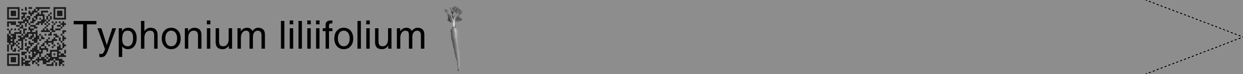 Étiquette de : Typhonium liliifolium - format b - style noire2simplehel avec qrcode et comestibilité simplifiée
