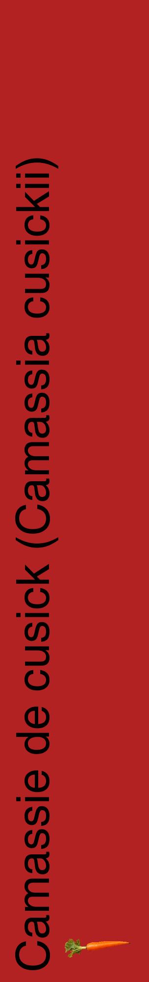 Étiquette de : Camassia cusickii - format c - style noire28_basiquehel avec comestibilité simplifiée