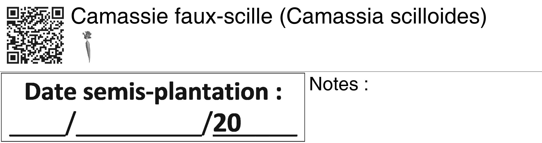 Étiquette de : Camassia scilloides - format c - style noire60_basiquegrrvhel avec qrcode et comestibilité simplifiée