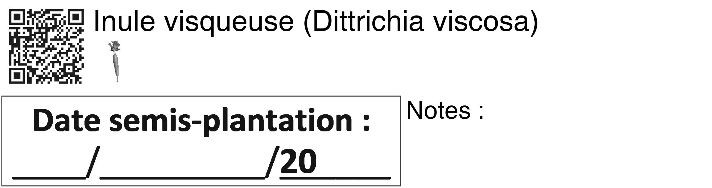 Étiquette de : Dittrichia viscosa - format c - style noire60_basiquegrrvhel avec qrcode et comestibilité simplifiée