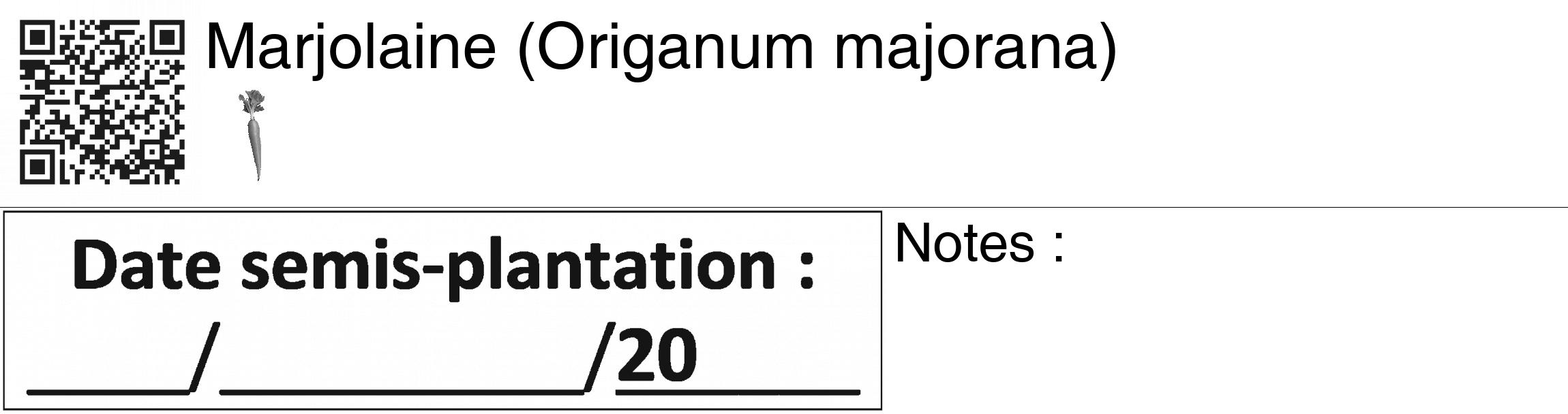 Étiquette de : Origanum majorana - format c - style noire60_basiquegrrvhel avec qrcode et comestibilité simplifiée