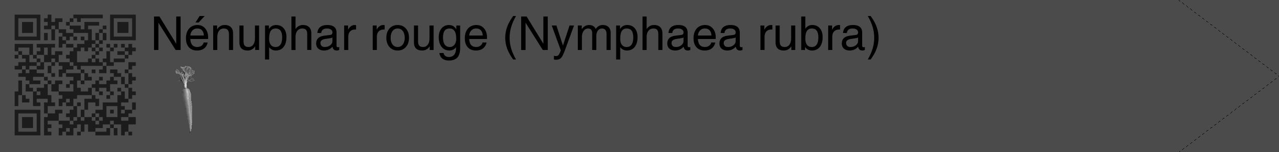Étiquette de : Nymphaea rubra - format c - style noire9_simple_simplehel avec qrcode et comestibilité simplifiée