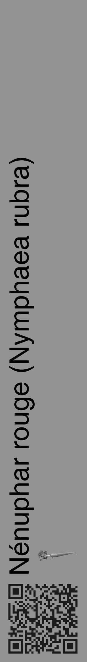 Étiquette de : Nymphaea rubra - format c - style noire44_basique_basiquehel avec qrcode et comestibilité simplifiée - position verticale