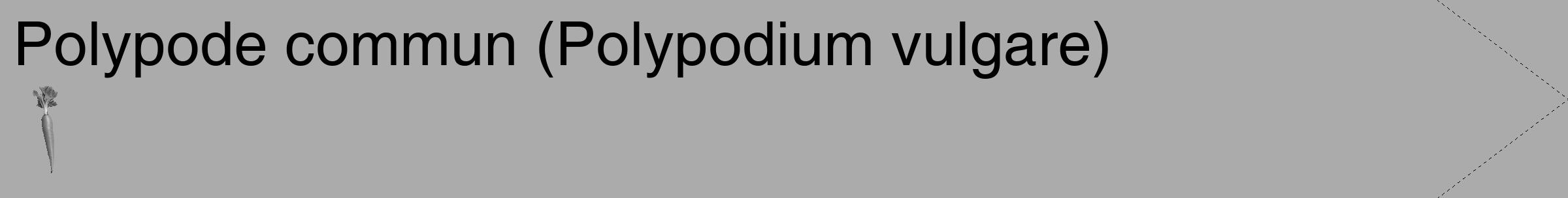 Étiquette de : Polypodium vulgare - format c - style noire37_simple_simplehel avec comestibilité simplifiée
