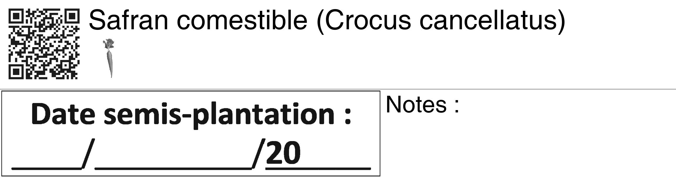 Étiquette de : Crocus cancellatus - format c - style noire60_basiquegrrvhel avec qrcode et comestibilité simplifiée