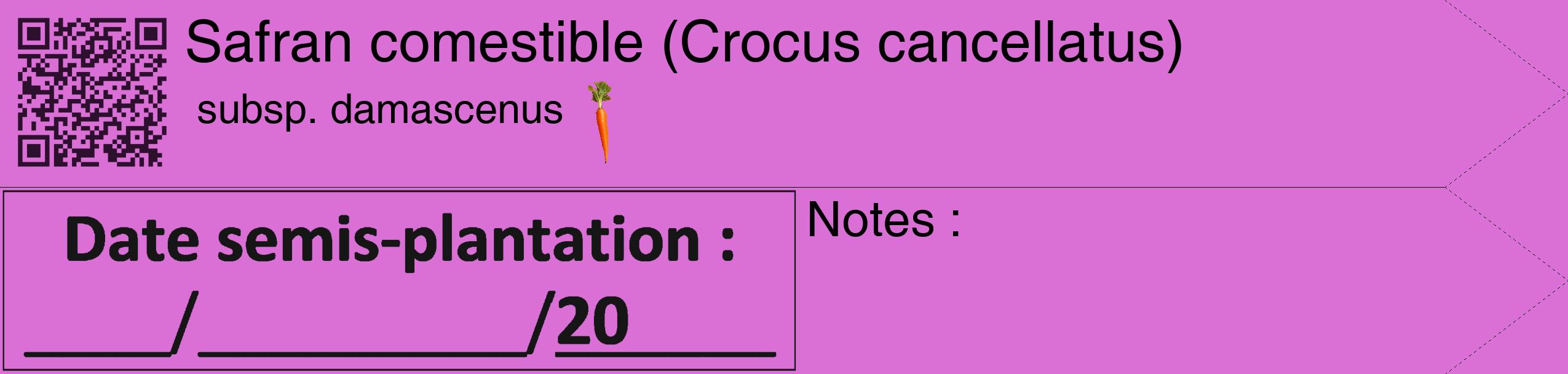 Étiquette de : Crocus cancellatus subsp. damascenus - format c - style noire52_simple_simplehel avec qrcode et comestibilité simplifiée
