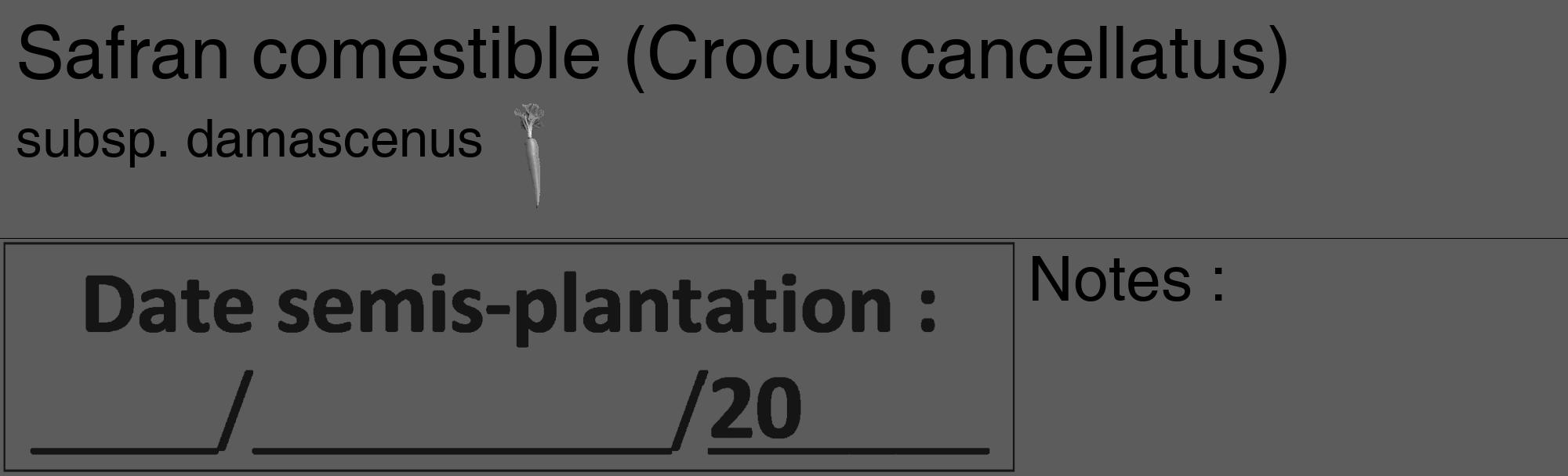 Étiquette de : Crocus cancellatus subsp. damascenus - format c - style noire49_basique_basiquehel avec comestibilité simplifiée