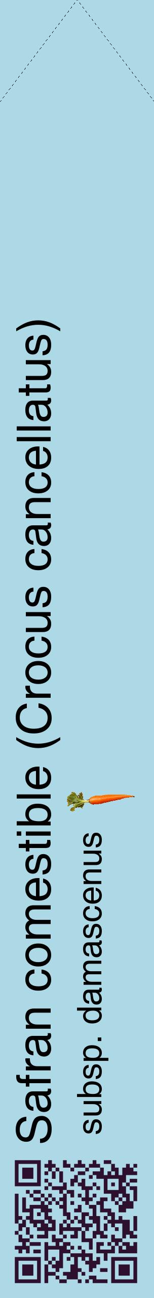 Étiquette de : Crocus cancellatus subsp. damascenus - format c - style noire0_simplehel avec qrcode et comestibilité simplifiée