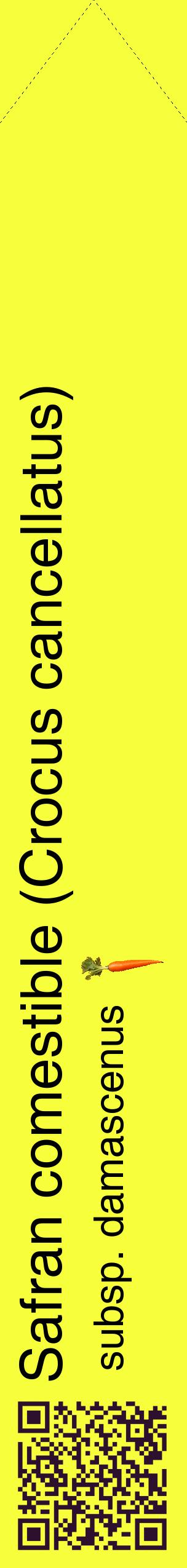 Étiquette de : Crocus cancellatus subsp. damascenus - format c - style noire18_simplehel avec qrcode et comestibilité simplifiée